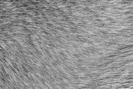 coat texture background for your desktop colorの写真素材