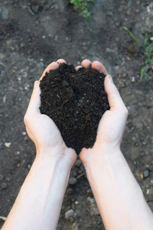 Handful of Rich Brown Soil naturel backgroundの写真素材