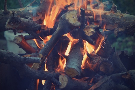 firewood hot fire boards nature wild forestの写真素材