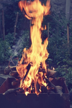 firewood hot fire boards nature wild forest