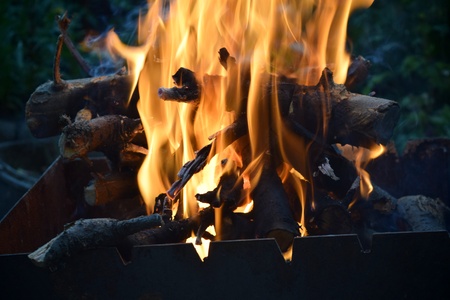 firewood hot fire boards nature wild forestの写真素材