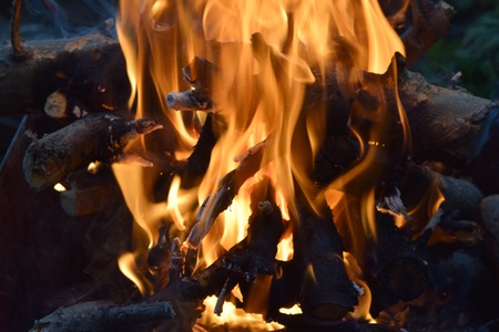 firewood hot fire boards nature wild forestの写真素材