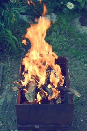 firewood hot fire boards nature wild forestの写真素材