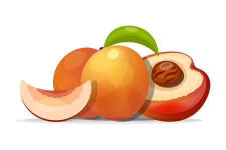 Ripe peaches, whole and slices. Vector illustration. On white backgroundのイラスト素材