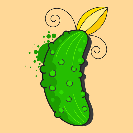 Realistic cucumber isolated on light background.Vector illustrationのイラスト素材