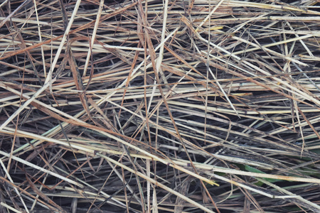 Hay Background, Hay Wallpaper, Hay Background Macro Natureの写真素材