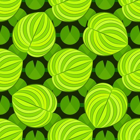 Tropical, Striped, Animal Motif. Seamless Line Pattern And The Texture Of The Cod. Modern Summer Flower, Leaf On The Brush Abstract Shape. Tropical Vector Background.のイラスト素材