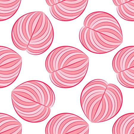 Tropical, Striped, Animal Motif. Seamless Line Pattern And The Texture Of The Cod. Modern Summer Flower, Leaf On The Brush Abstract Shape. Tropical Vector Background.のイラスト素材