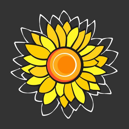 Sunflower Flower Isolated, Vector Illustration. Nature Background