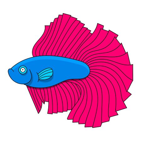 Aquarium Fish Cockerel Vector Illustration For Kids And Adultsのイラスト素材