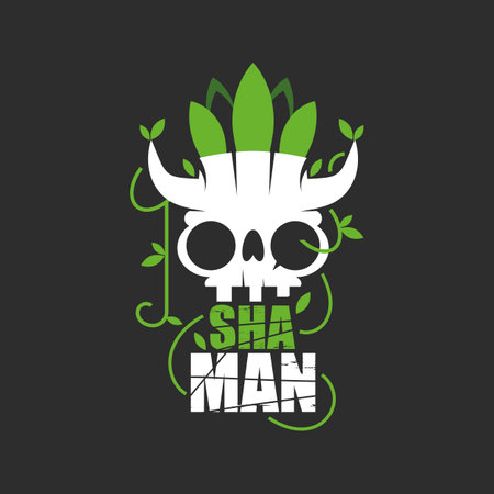 shaman with a tambourine, a decorative bandage on her head. Vector illustration for a magazine, bookのイラスト素材