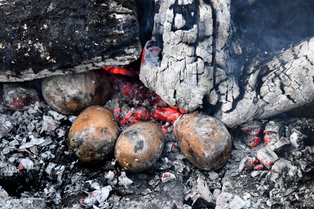 Close up of potatoes cooked on barbecueの写真素材