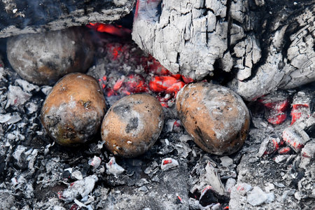 Picnic in nature. Cooking potatoes and kebabs over the fire. Fire texture. Coals and flames. Macro filming. Grillの写真素材