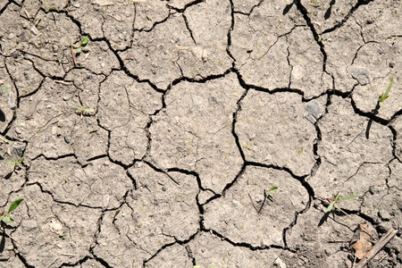 Drying cracks forming a characteristic pattern in clay soil. Natural background. World climate change, water crisis. Cracked earth. Takir, takyr soils. Landform, drying out saline soil in desertの写真素材