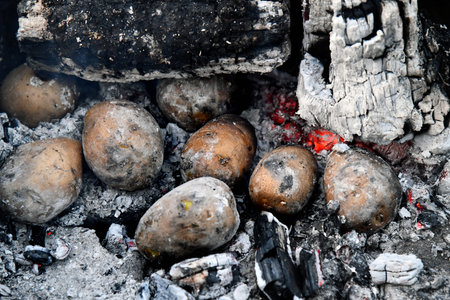 Picnic in nature. Cooking potatoes and kebabs over the fire. Fire texture. Coals and flames. Macro filming. Grillの写真素材