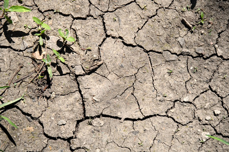 Drying cracks forming a characteristic pattern in clay soil. Natural background. World climate change, water crisis. Cracked earth. Takir, takyr soils. Landform, drying out saline soil in desertの写真素材