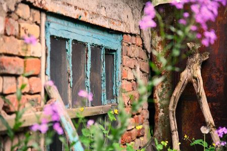 Street and house facadeの写真素材