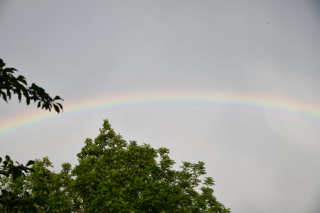 The end of a rainbow with a field in the foregroundの写真素材