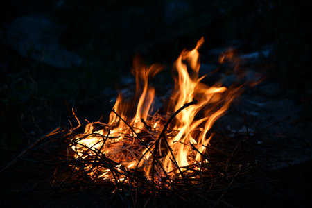 Ring of fire Bailey Colorado Rocky Mountain forest wildfireの写真素材