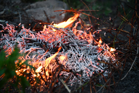 Ring of fire Bailey Colorado Rocky Mountain forest wildfireの写真素材