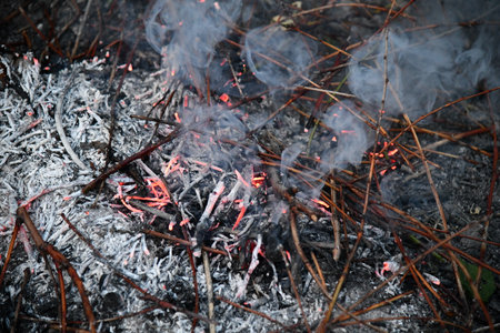 Ring of fire Bailey Colorado Rocky Mountain forest wildfireの写真素材