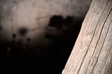 flashlight and light beam in dark mist room at night. abstract projector spotlight white lay growing .の写真素材