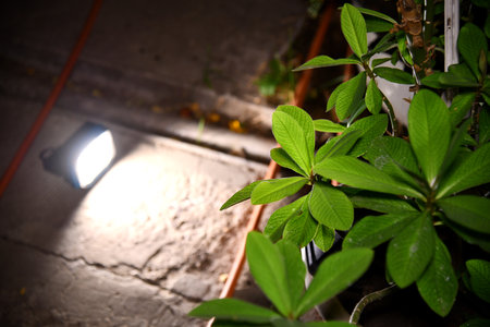 flashlight and light beam in dark mist room at night. abstract projector spotlight white lay growing .の写真素材