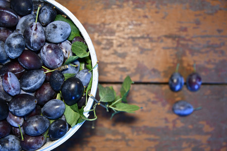 Bucket filled with ripe, delicious plums , plum, fruit, bucket, ripe, juicy, fresh sweet organic harvest food agricultureの写真素材