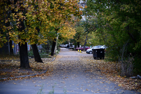 Beautiful autumn landscape with colorful foliage. Falling leaves natural background.の写真素材