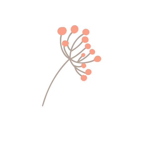 Guelder rose, autumn berries isolated on white background. Sprigs of rose hips, viburnum, cranberries. Vector hand-drawn illustration in line art.のイラスト素材