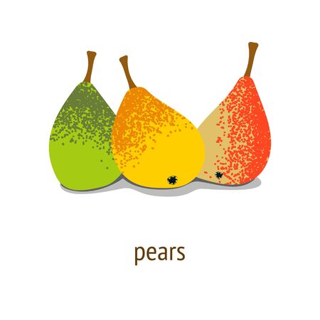 illustration with pears of different varieties. green, yellow and orange pearsのイラスト素材