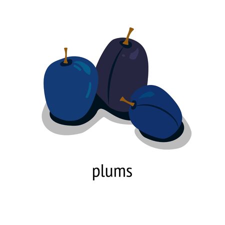 illustration with three plums on a white backgroundのイラスト素材