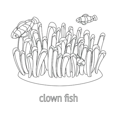 template for baby coloring. three clown fishes swimming in the coral. linear styleのイラスト素材