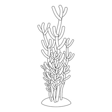 coloring book for children. seaweed and corals in linear style. black and white illustration. underwater plantsのイラスト素材