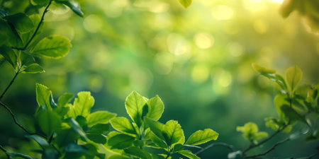 Nature view of green leafs on blurred background in garden. Eco green wallpaperの素材