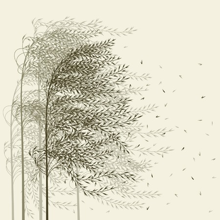 Reed backgroundのイラスト素材
