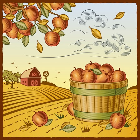 Landscape with apple harvestのイラスト素材