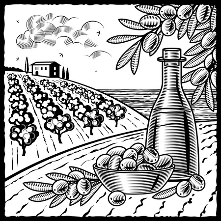 Olive harvest black and whiteのイラスト素材