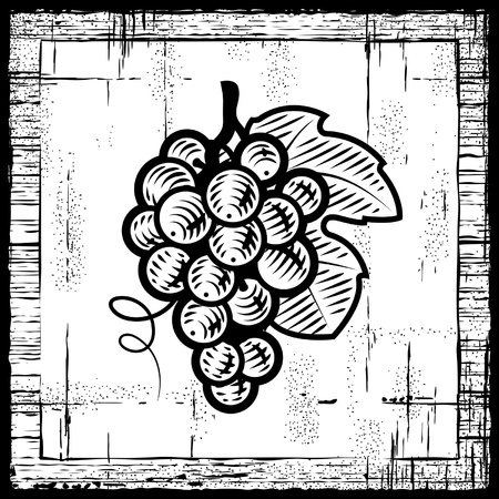Retro grapes bunch black and whiteのイラスト素材
