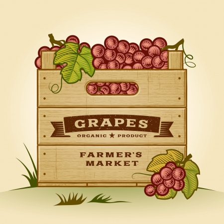 Retro crate of grapesのイラスト素材