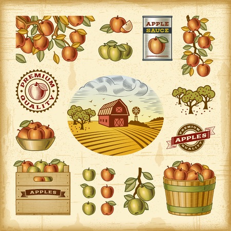 Vintage colorful apple harvest setのイラスト素材