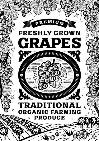 Retro grapes poster black and whiteのイラスト素材
