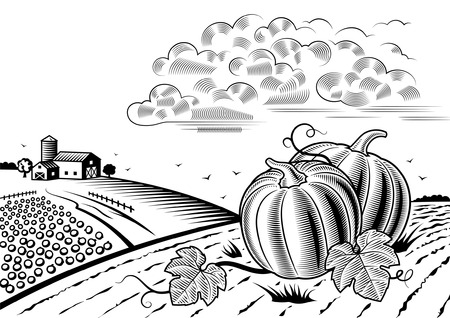 Pumpkin harvest landscape black and whiteのイラスト素材