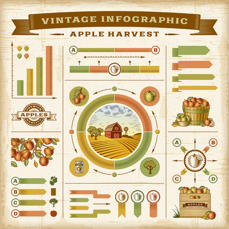 Vintage apple harvest infographic setのイラスト素材