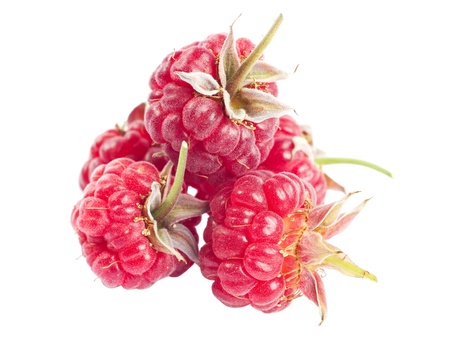 Fresh forest berries
