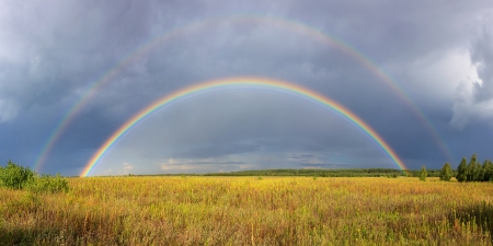 Rainbow on the field on a Sunny dayの写真素材