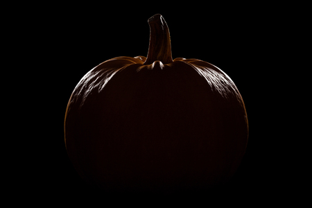 Pumpkin on black backgroundの写真素材