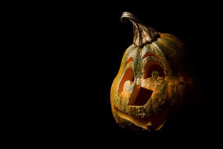 Pumpkin for Halloween on a black backgroundの写真素材