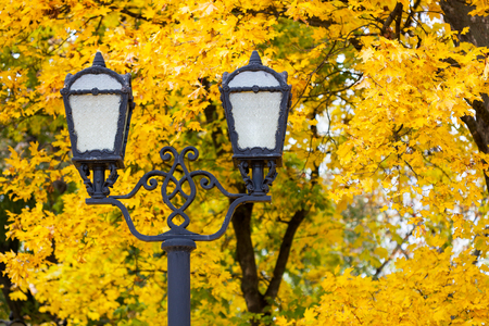 Lamp against the background of autumn leavesの写真素材