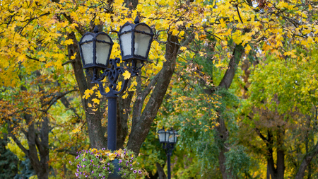 Lamp against the background of autumn leavesの写真素材